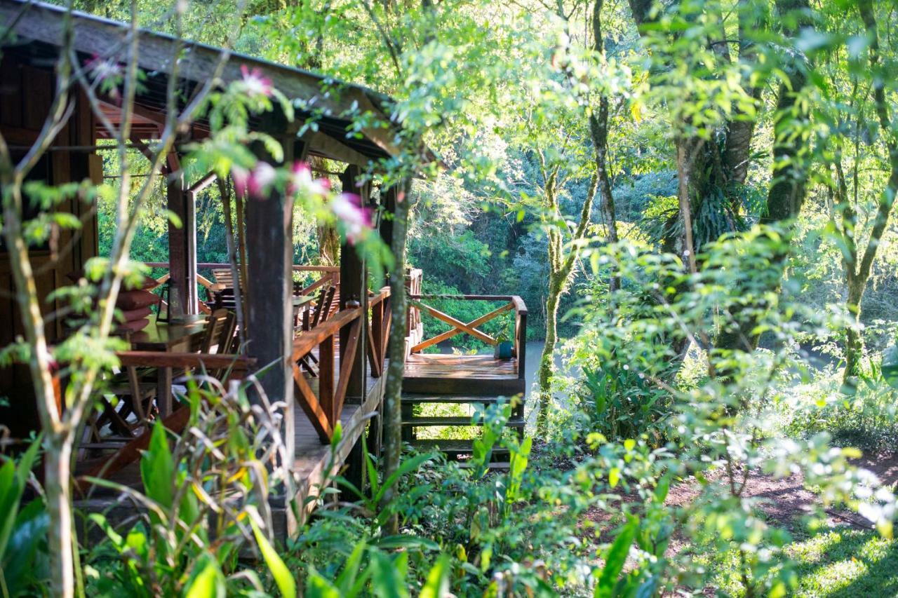 Margay - Reserva Natural Y Lodge De Selva El Soberbio Zewnętrze zdjęcie